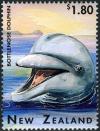 Colnect-2322-175-Common-Bottlenose-Dolphin-Tursiops-truncatus.jpg