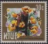 Colnect-4184-352-Cochlospermum-hibiscoides.jpg