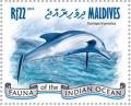Colnect-4291-046-Common-Bottlenose-Dolphin-Tursiops-truncatus.jpg