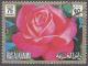 Colnect-4880-288-Rose---Super-Star.jpg