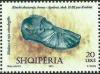 Colnect-3984-365-Bronze-foot-2nd-3rd-cent-Apollonia.jpg