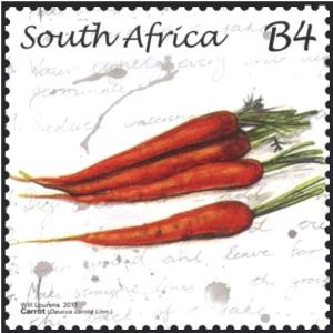 Carrot.jpg