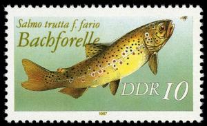 Colnect-1982-838-Brown-Trout-Salmo-trutta-f-fario.jpg