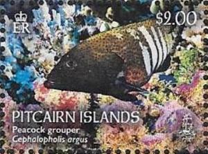 Colnect-4802-735-Peacock-grouper-Cephalopholis-argus.jpg