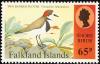 Colnect-1674-587-Two-banded-Plover-Charadrius-falklandicus-.jpg