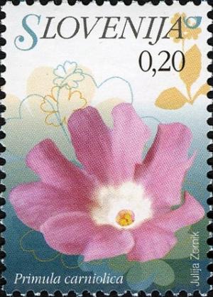 Colnect-712-504-Flowers-of-Slovenia---Primula-carniolica.jpg