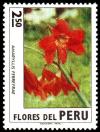 Colnect-1406-448-Peruvian-flowers---Amaryllis-Ferreyrae.jpg