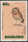 Colnect-576-825-Burrowing-Owl-Speotyto-cunicularia.jpg