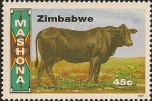 Colnect-2344-426-Mashona-Cow-Bos-primigenius-taurus.jpg