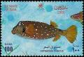 Colnect-1899-659-Yellow-Boxfish-Ostracion-cubicus.jpg