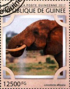 Colnect-4438-618-Loxodonta-africana.jpg