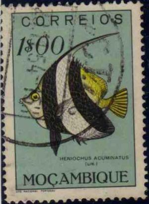 STAMSP549.JPG