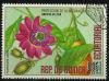 Colnect-2100-503-Passiflora-alata.jpg