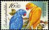 Colnect-3737-173-Rose-ringed-Parakeet-Psittacula-krameri.jpg