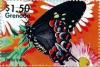 Colnect-4592-789-Papilio-troilus.jpg