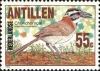 Colnect-954-047-Rufous-collared-Sparrow-nbsp-Zonotrichia-capensis.jpg