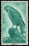 Colnect-1397-830-Eurasian-Sparrowhawk-Accipiter-nisus.jpg