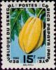 Colnect-1990-851-Papaya-Carica-papaya.jpg