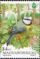Colnect-574-233-Blue-Tit-Parus-caeruleus-in-Tree.jpg