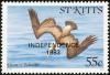 Colnect-1659-354-Brown-Pelican---overprinted.jpg
