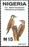 Colnect-735-478-Fire-bellied-woodpecker-Dendropicos-pyrrhogaster.jpg
