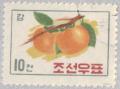 Colnect-2598-343-Sand-Pear-Pyrus-pyrifolia.jpg