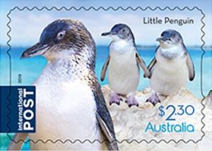 Colnect-5806-495-Little-Penguin-Eudyptula-minor.jpg