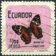 Colnect-2305-182-Scarlet-Peacock-Anartia-amathea.jpg