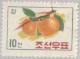 Colnect-2598-343-Sand-Pear-Pyrus-pyrifolia.jpg