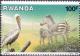Colnect-2802-737-Great-White-Pelican-Pelecanus-onocrotalus-Plains-Zebra-E.jpg
