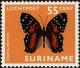 Colnect-4977-800-Scarlet-Peacock-Anartia-amathea.jpg