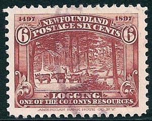 STS-Newfoundland-2-300dpi.jpg-crop-368x292at1623-809.jpg