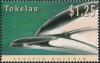 Colnect-4596-396-Striped-Dolphin-Stenella-coeruleoalba.jpg