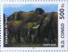 Colnect-552-863-African-Forest-Elephant-Loxodonta-africana-cyclotis.jpg