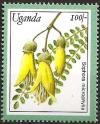 Colnect-5627-213-Sophora-Microphylla.jpg
