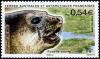 Colnect-889-451-Southern-Elephant-Seal-Mirounga-leonina.jpg