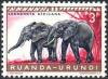 Colnect-964-497-African-Elephants-Loxodonta-africana.jpg