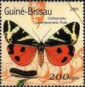 Colnect-6506-048-Callimorpha-quadripunctaria-Poda.jpg