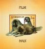 Colnect-1604-558-Caucasian-Shepherd-Canis-lupus-familiaris.jpg