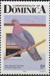 Colnect-2264-761-Scaly-naped-Pigeon-Patagioenas-squamosa-.jpg