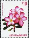 Colnect-3014-766-Pink-desert-rose.jpg