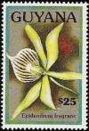 Colnect-3526-969-Epidendrum-fragans.jpg