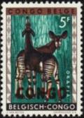 Colnect-2890-933-Okapi-Okapia-johnstoni.jpg