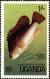 Colnect-4266-457-Nile-Tilapia-Oreochromis-niloticus.jpg
