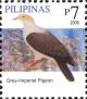 Colnect-2875-018-Grey-Imperial-Pigeon-nbsp-Ducula-pickeringii.jpg