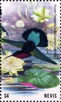 Colnect-5164-929-Purple-throated-carib.jpg