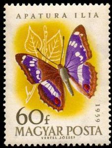 Colnect-817-154-Lesser-Purple-Emperor-Apatura-ilia.jpg