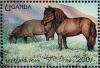 Colnect-1714-648-Shetland-Pony-Equus-ferus-caballus.jpg