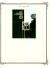 WSA-New_Zealand-Postage-1989-4.jpg