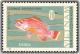 Colnect-1652-536-Crimson-Snapper-Lutianus-erythropterus.jpg